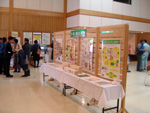 資料展示2